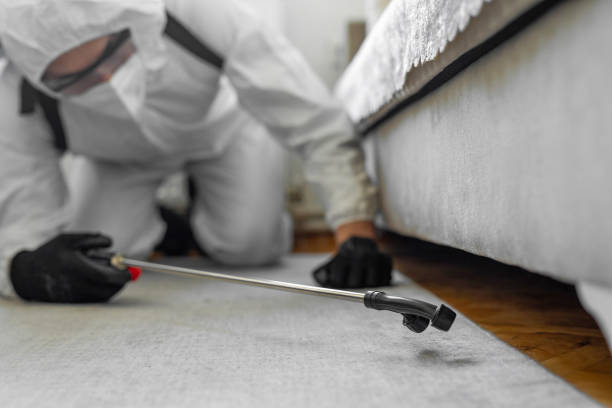 Professional Pest Control technician working in Madera Acres, CA