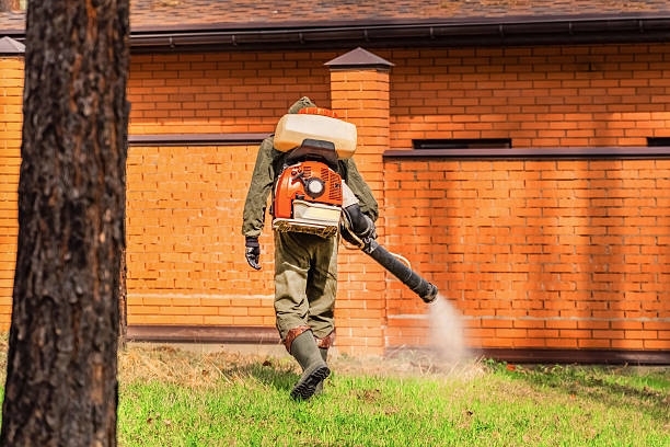 Trusted Ant Control service in Madera Acres, CA - Nex Pest Control